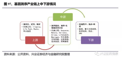 國產醫療器械替代進口 化學發光與生化領域的突圍路徑全析